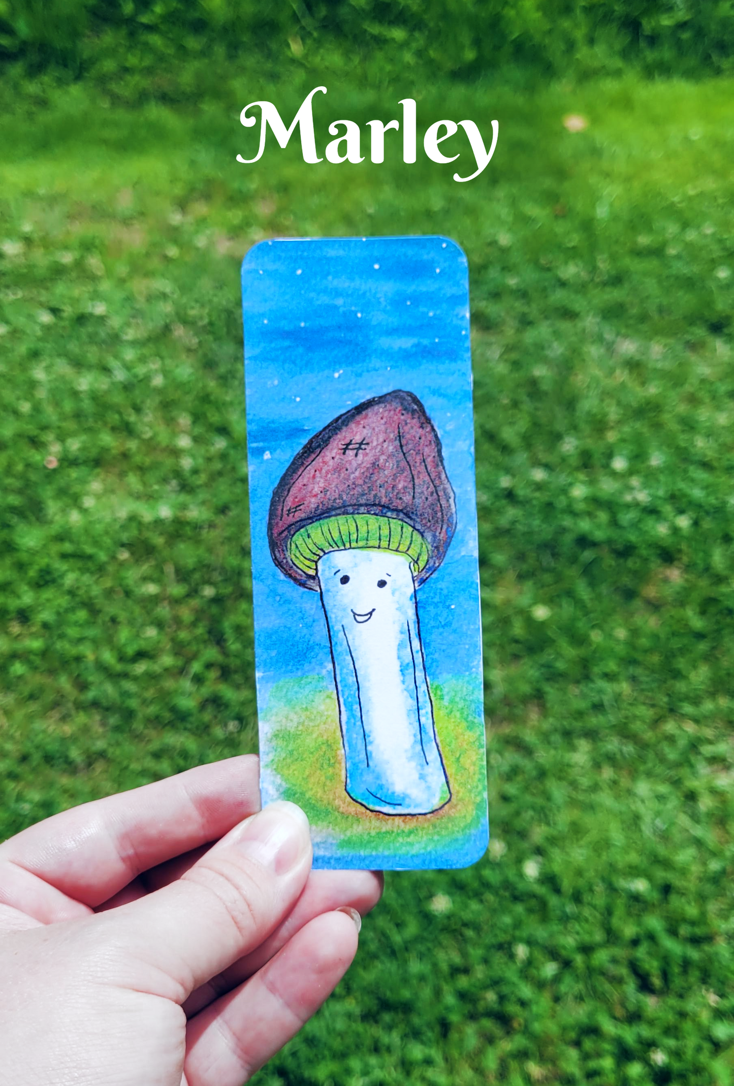 The Shroom Doods Collection